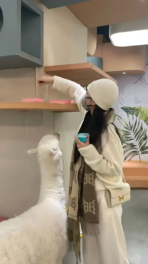 真实国产乱子伦高清对白_亚洲成a人片在线观看你懂的_久99久热只有精品国产女同